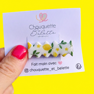 Mini barrette - Citron 🍋, Orange 🍊
